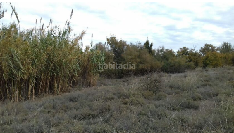 Foto 984bef59-fa70-44ea-9486-dff3eeca8b9f. Fabrikhalle in Venta del Olivar Zaragoza