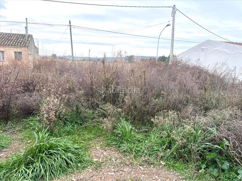 Foto 70299ae0-e9bd-4d09-a7fa-9fe1138d191c. Terreny residencial a Castejón