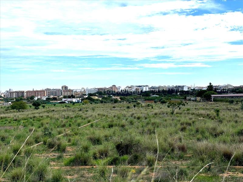 Foto 585cd3bc-a8df-48e5-a19f-4570de4da471. Terreno residencial en Mestrets Castellón de la Plana