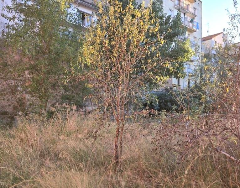 Foto d49a0fe9-1989-48ef-b8a2-e298dcfe5264. Terreno residencial en Escodines Manresa