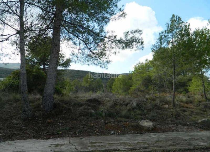 Foto a742632c-95a6-480b-bdfc-0be9d77ebadc. Wohngrundstück in Macastre