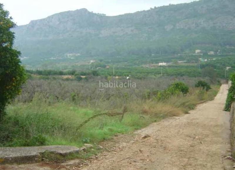 Foto 8f0b5136-d554-47d3-b82e-b2b3e74eacf1. Terreny residencial a Urbanitzacions i Pedanies Sud Alzira