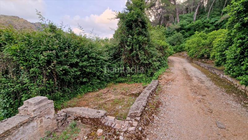 Foto fae013c5-dd8a-419a-8857-a9e4a93b293b. Terreny residencial a Urbanitzacions i Pedanies Sud Alzira