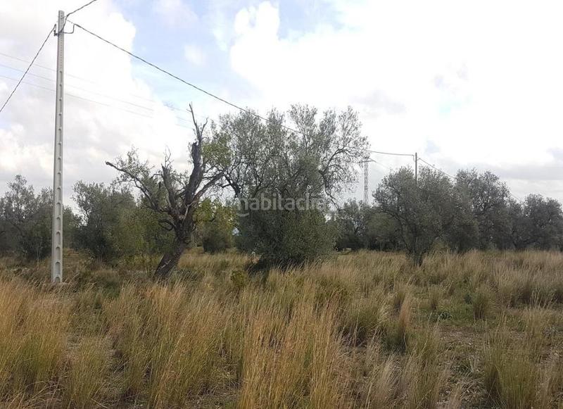 Foto a64d2c2c-276a-45e5-9040-02ba48b55c51. Terreny residencial a Sénia (La)