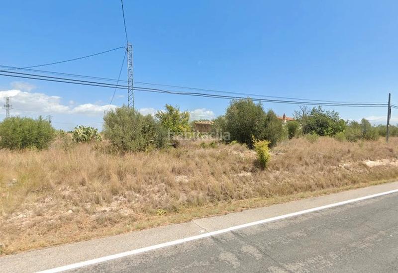 Foto ba95a524-e0f3-4e74-8c90-fe5b58497867. Terreny residencial a Sénia (La)