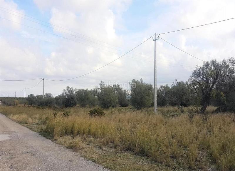 Foto c0afd584-43de-4b73-be7e-241d4cab4a31. Terreny residencial a Sénia (La)