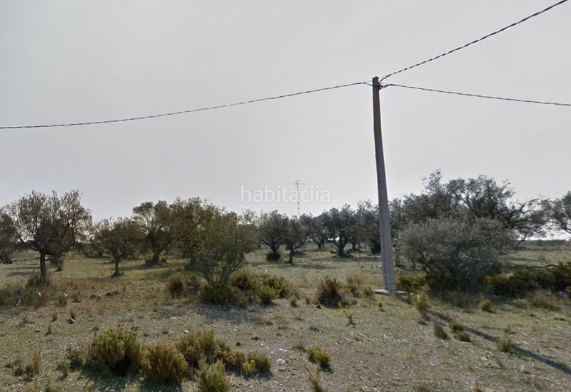 Foto eac44bec-0e28-4d37-9041-30f460a134a8. Terreny residencial a Sénia (La)