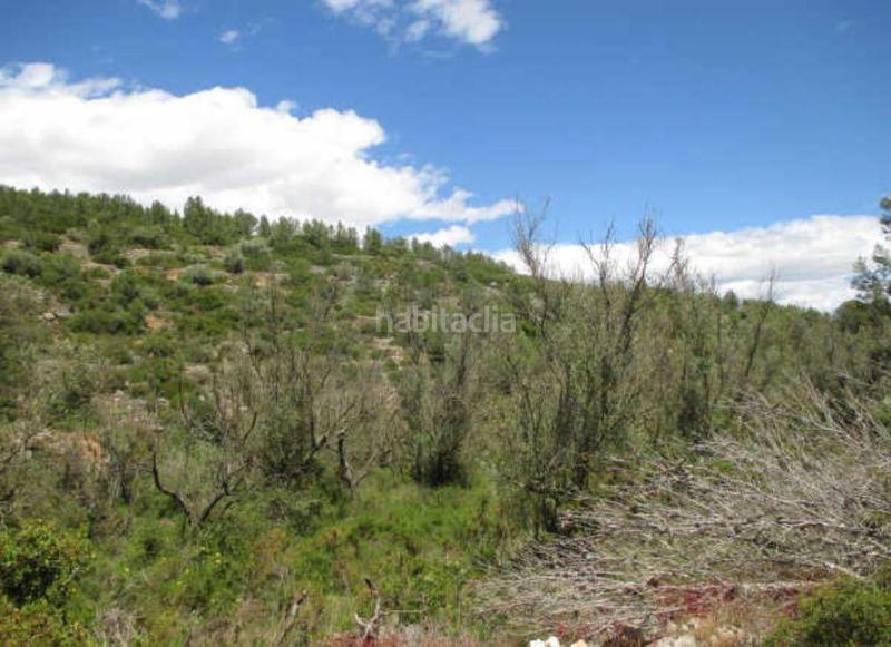 Foto 71b17fab-d3ba-4150-aafe-c745ce5a1c90. Terreno residencial en Sant Mateu