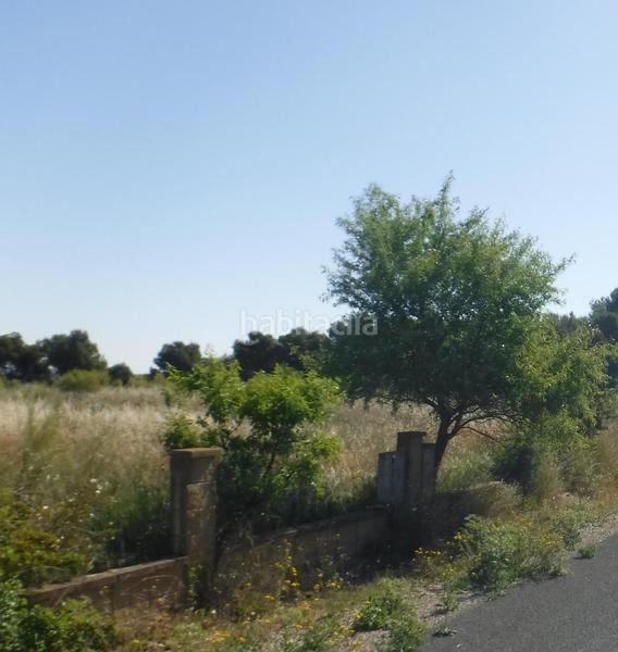 Foto 0e30b661-63bc-40ac-9bed-0f2e0d7da566. Terreno residencial en La Cerdera Lleida