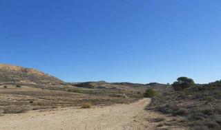 Terrain résidentiel  Olivos (los)