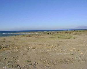 Residential Plot  Alcores de guardias viejas