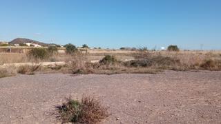 Terreny residencial  Fosaret