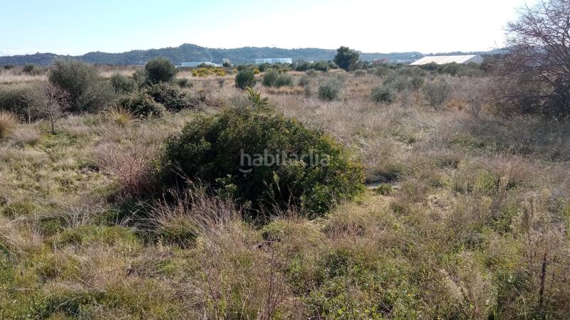 Foto 50d5c99e-e311-405d-b882-c121a9b3e81b. Terreno residenziale in Vall d´Uixó (la)