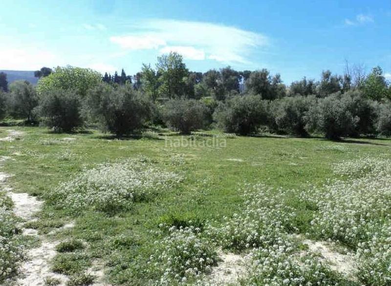 Foto 3f219f94-2dd4-41f2-a483-4b867a6bcf7b. Terrain résidentiel dans Sant Josep-Zona Hospital Ontinyent