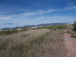 Terreny residencial  Proc. simplificado