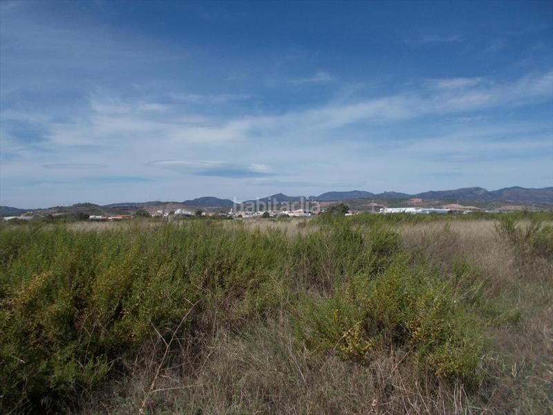 Foto c412ed05-6fe5-42de-8741-966eeca91ab2. Terreno residenziale in Chilches