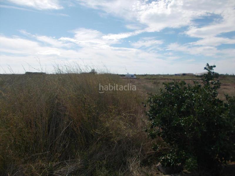 Foto c5d5e3cc-b357-4a52-bafb-4d9c47a46d09. Terreny residencial a Chilches