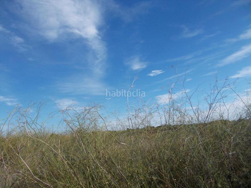 Foto d8fe5f22-adf8-4284-b0f7-252d2d7b1488. Terreny residencial a Chilches