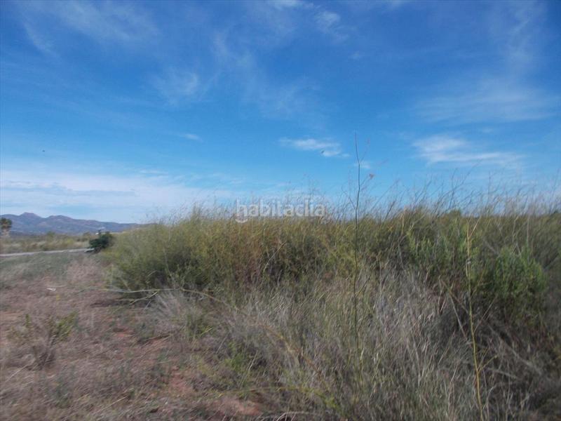 Foto 9a7171d1-642b-4d3e-a24d-8fe18a05cc37. Terrain résidentiel dans Chilches