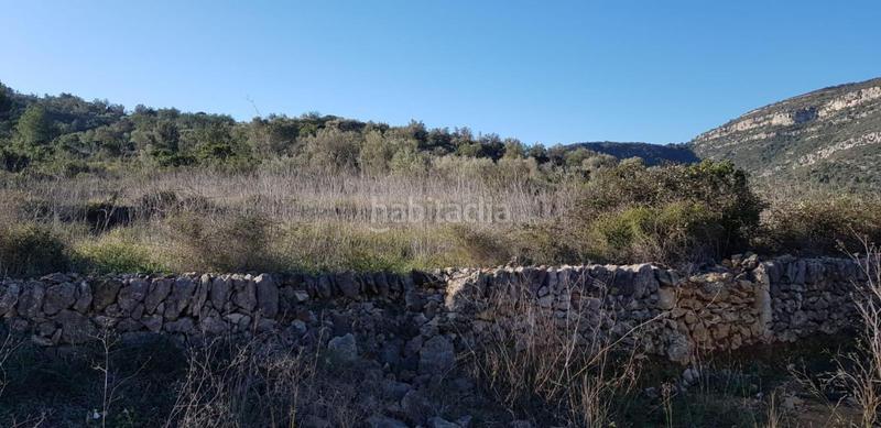 Foto 21acac78-4bd2-4d0a-a0ca-93be95ead6ed. Terreno residenziale in Freginals