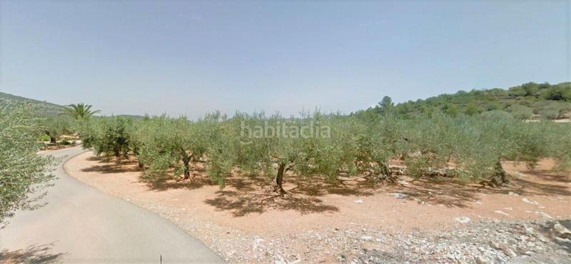 Foto c4125fa5-62e7-4b1b-bf4c-4d9044249a47. Terreno residenziale in Freginals