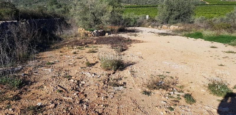 Foto c6bd40c4-2ea3-488b-9a80-523b2ea3b928. Terreno residenziale in Freginals