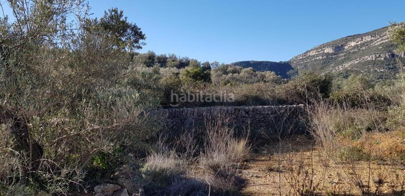 Foto 971eee84-bfb1-4415-9e08-823e8d49743f. Wohngrundstück in Freginals