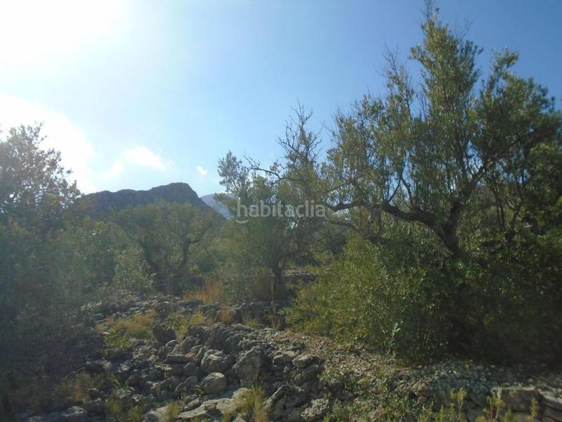 Foto 12615602-d3e7-46e4-8f23-5acfce987ab3. Terreno residenziale in Roquetes