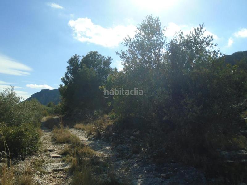 Foto 37681970-f905-4038-8bb0-895bdaed4b0d. Terreno residenziale in Roquetes