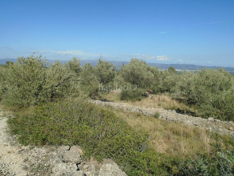 Foto 45df3090-ff2a-4d02-95d5-3f84436ab056. Terreno residenziale in Roquetes