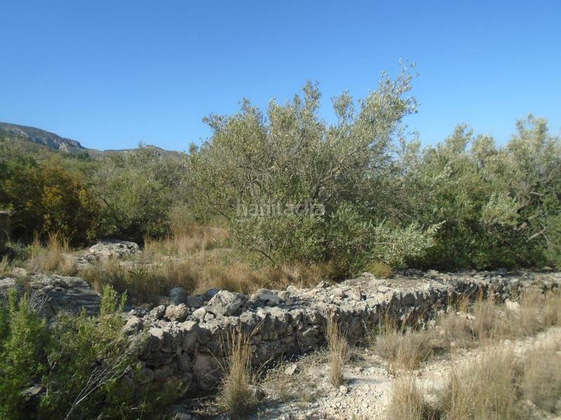 Foto 5e2eadbd-6a39-4877-b819-a13c6c285797. Terreno residenziale in Roquetes