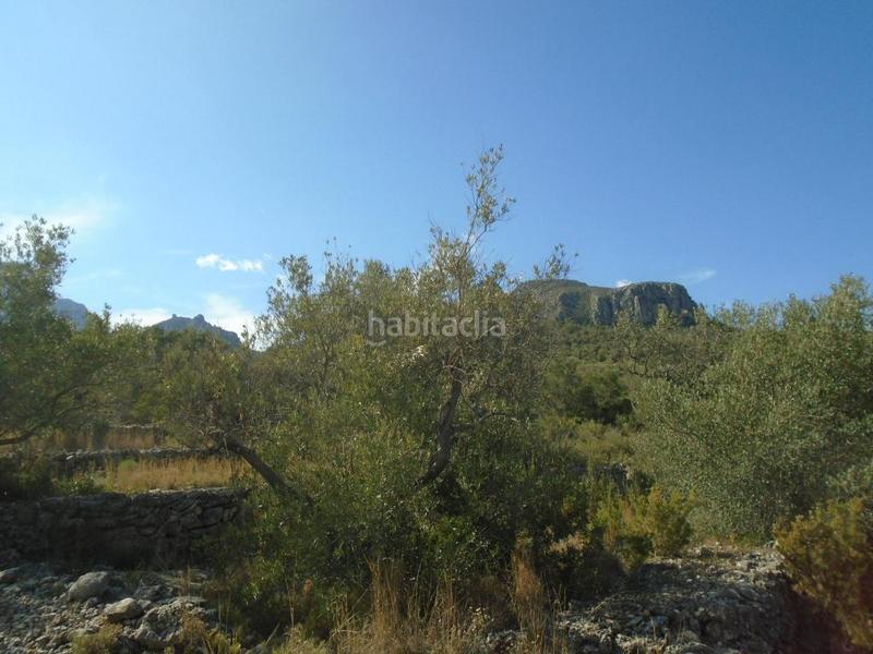 Foto 76275737-0579-4d08-a5bf-68718ea29b45. Terreno residenziale in Roquetes