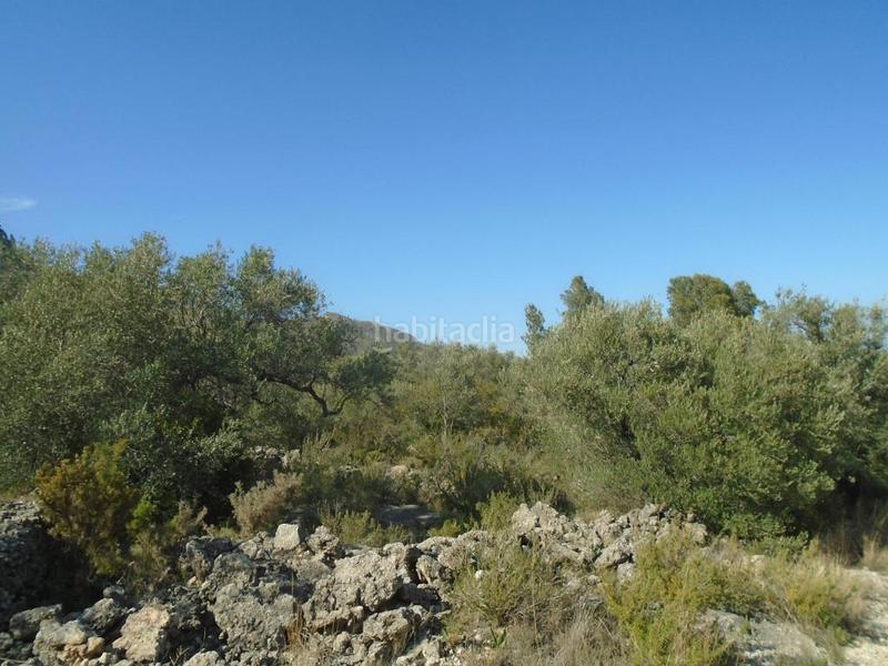 Foto b7eaf74a-2dbc-458b-aba7-b264d0b56860. Terreno residenziale in Roquetes