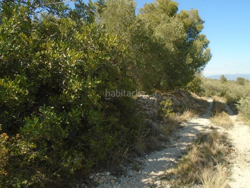 Foto d833e378-5791-47f8-80d8-a5c89f682a4c. Terreno residenziale in Roquetes