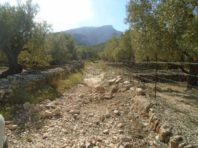 Foto de892ad5-cc1b-46c8-9fb5-1af03f781f08. Terreno residenziale in Roquetes