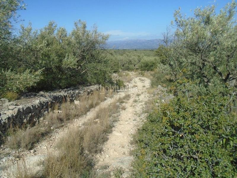 Foto ea5fca44-8456-4dec-be73-5d7642085082. Terreno residenziale in Roquetes