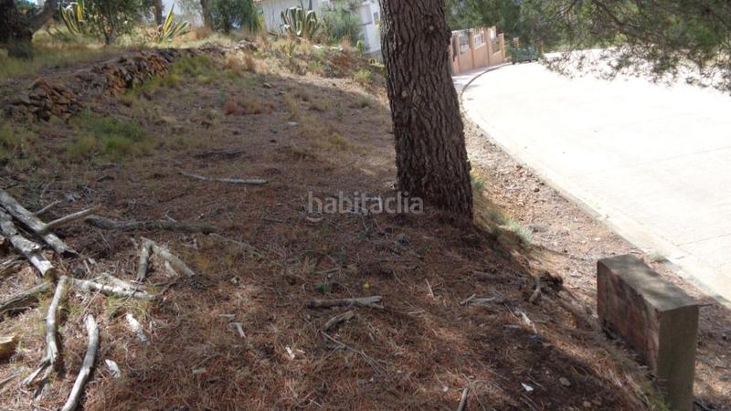 Foto 22cb064a-5de1-4890-b87c-20b86ccd881f. Terreny residencial a Riudecanyes