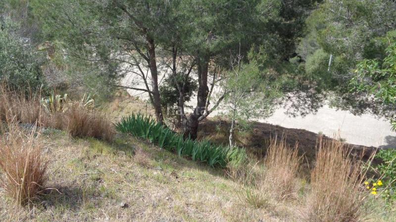 Foto 23c7638d-4147-417d-899a-d5d5af779d04. Terreny residencial a Riudecanyes