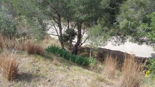 Residential Plot  Ponent (del)