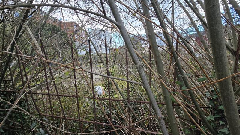 Foto 2a2540fd-37d0-4b85-b0c0-9ac204d89baf. Terreno residencial en Cee