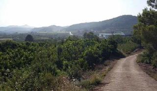Wohngrundstück  Partida llano (del)