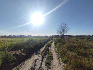 Terrain résidentiel  Alonsario