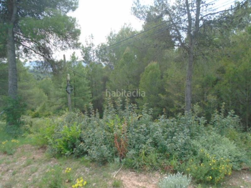 Foto 0e54b994-9935-48da-b32c-80b34977faf6. Terreny residencial a Rellinars