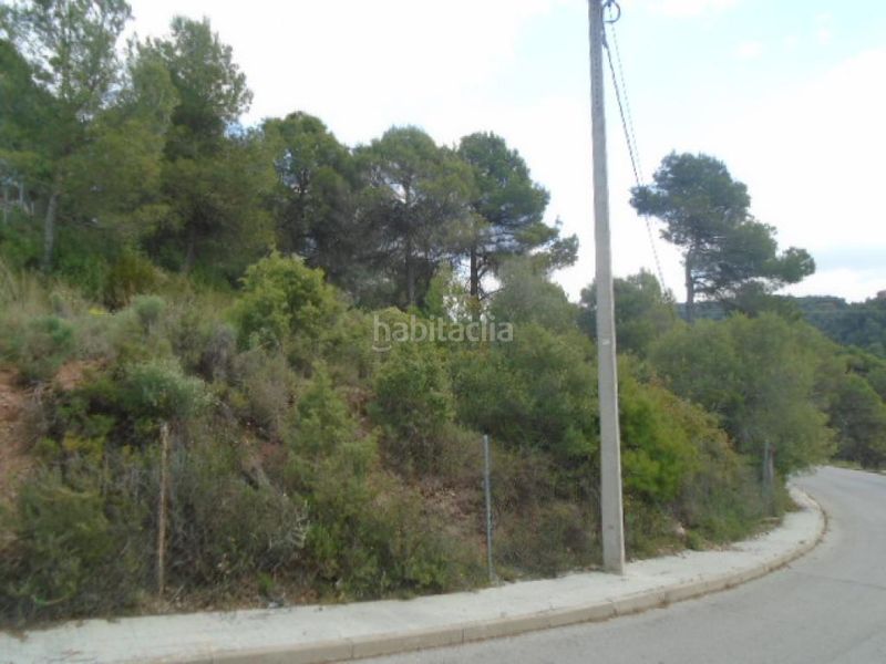 Foto d8a577af-497e-40bc-ab52-809b103e0502. Terreny residencial a Rellinars