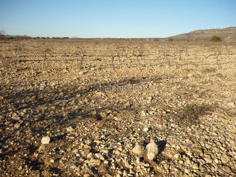 Foto 9e7a923b-ec62-484c-a55c-a906db38be41. Terrain résidentiel dans Caudete