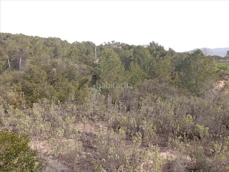 Foto ae76fa9c-a028-470e-927a-2fe3ba9f3402. Terreny residencial a Relleu