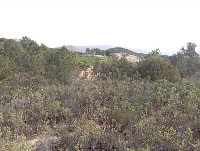 Foto a91a5ee7-807c-4e3e-9d0e-462cd6b9b825. Residential plot in Relleu