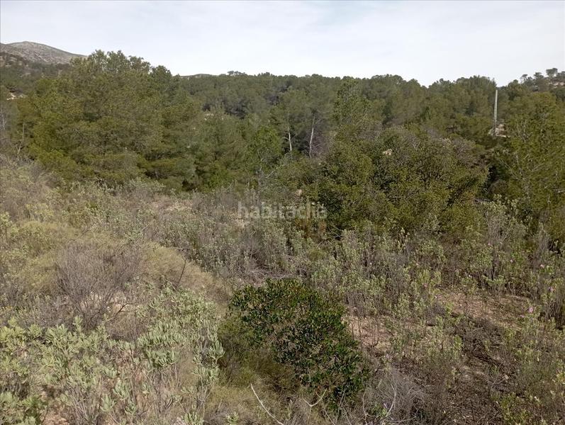 Foto f9ed4f95-6f94-4b19-b416-5f1174bb0c1d. Residential plot in Relleu