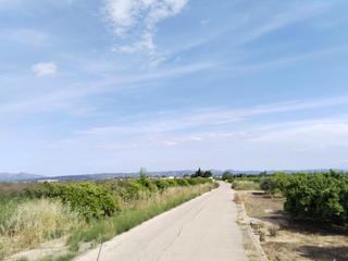 Terreny residencial  Teularet (poligono 1 - parcela 83). realengo