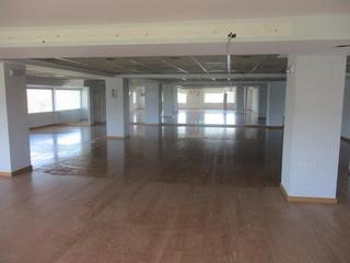 Local Comercial  Constitucion